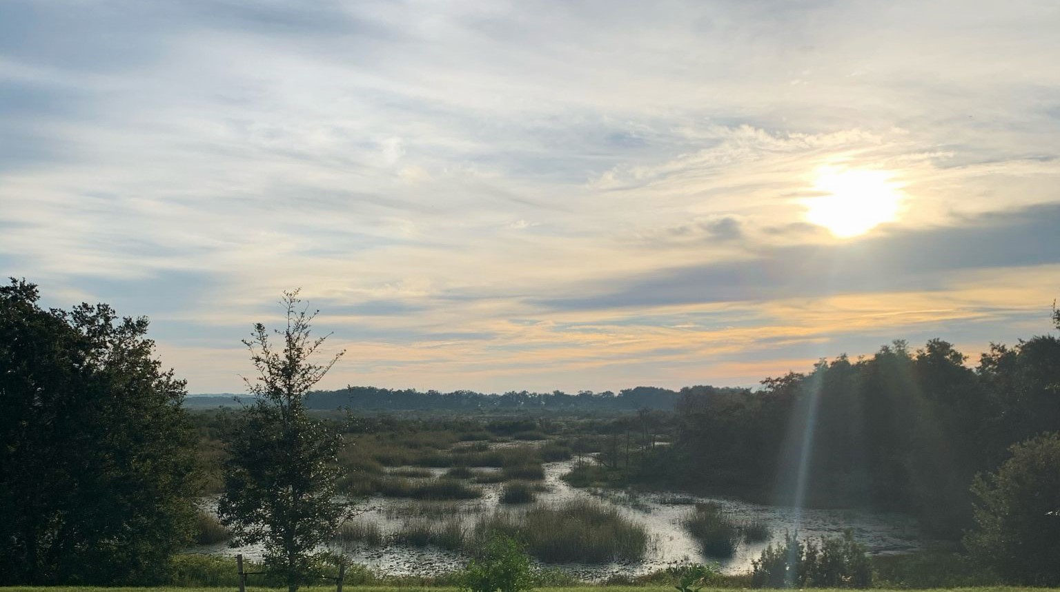 Breathtaking sunrise view over the preserve